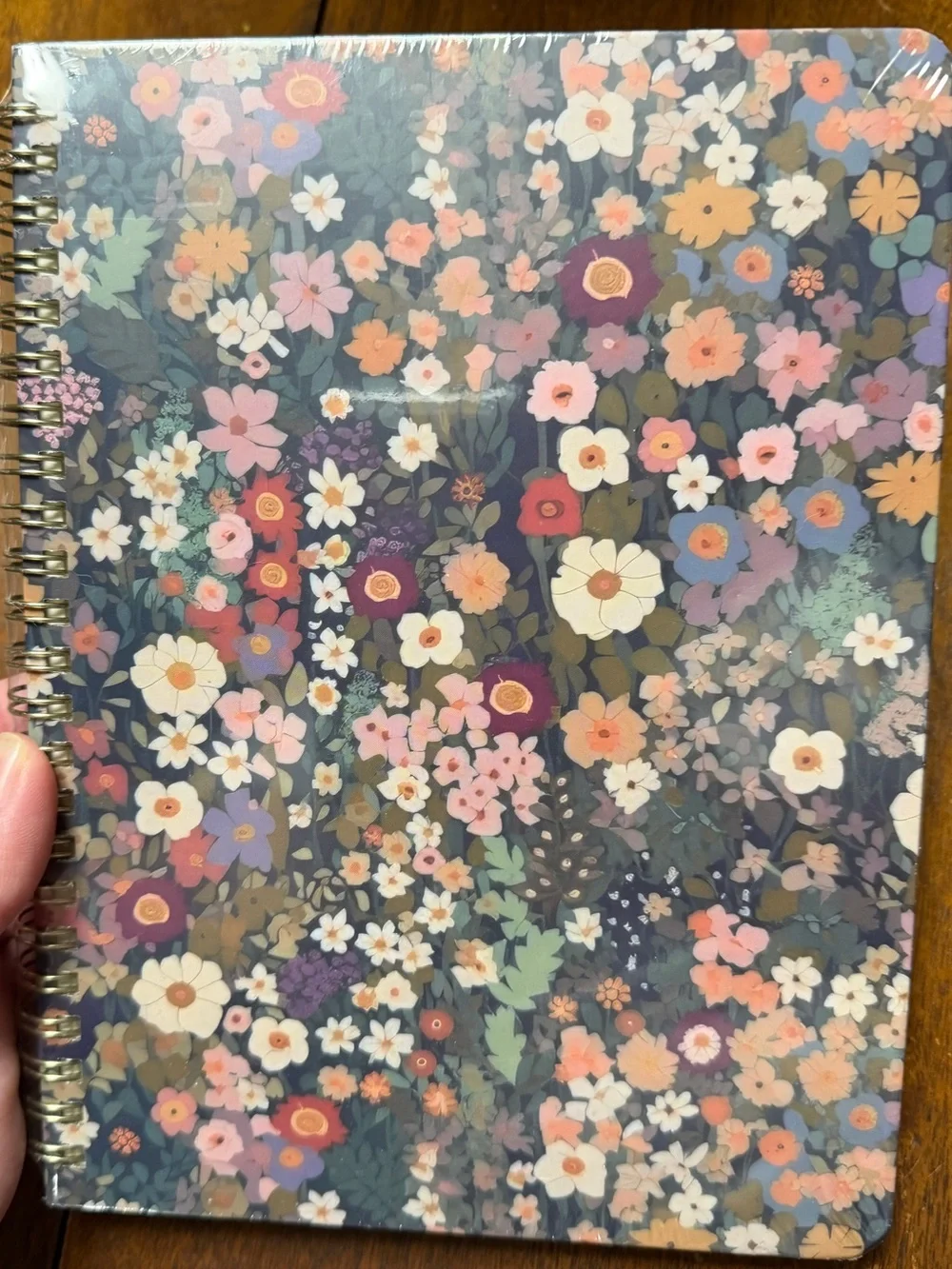 NWT Taja Lined Spiral Journal 6x8 Notebook